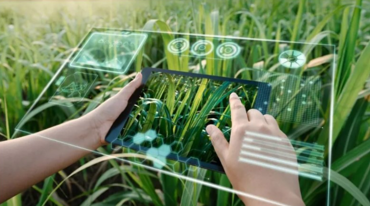 DAT CREA se vincula con universidades, Conicet e INTA para potenciar el valor de la gestión de datos