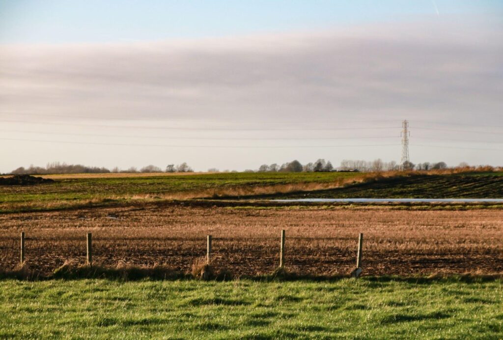 El costo invisible de vender sin estrategia en el mercado rural image