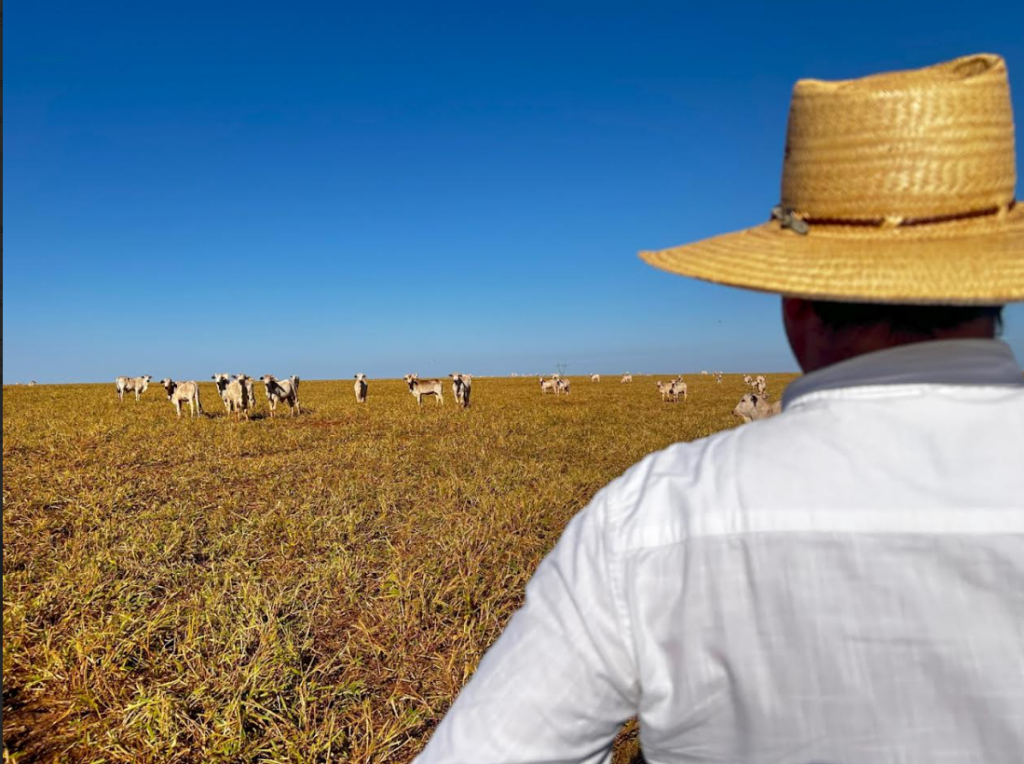 La compra de campos muestra señales de reactivación tras años de cautela: los valores suben hasta 10% 